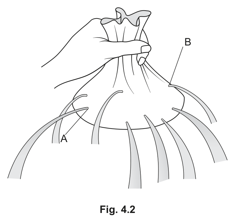 Fig. 4.2 — see the question text for what it shows