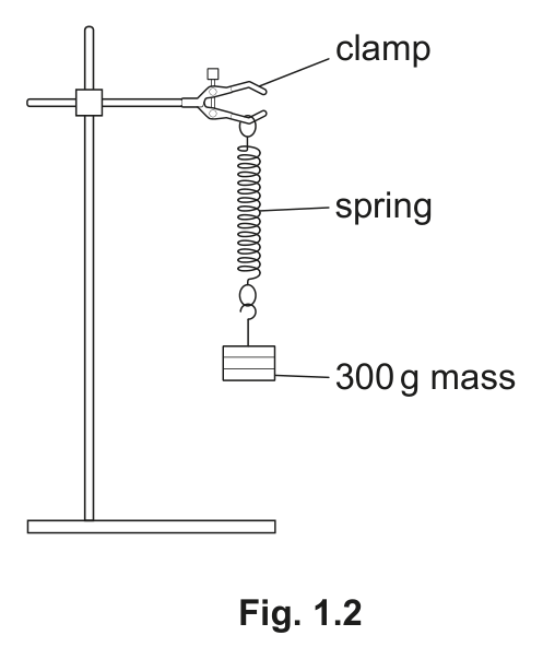 Spring clamped to a stand with a 300 gram mass hanging below it.